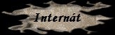 Internt