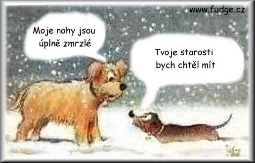 vtipn obrzek